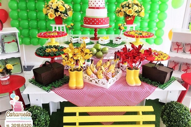 Decoração de Festa Piquenique