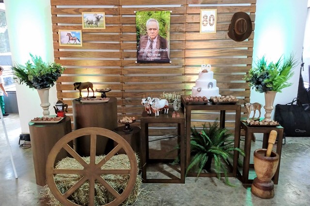 Decoração de Festa de Aniversário Fazenda